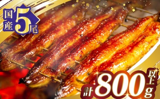 うなぎ蒲焼5尾(さんしょう・たれ付き)計800g以上 鰻 魚 魚介 加工品 国産_T026-0031