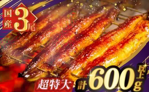 うなぎ蒲焼特大3尾(さんしょう・たれ付き)計600g以上 鰻 魚 魚介 加工品 国産