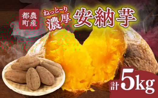 ≪期間限定≫都農町産安納芋(計5kg) 野菜 芋 イモ 国産_T016-0011