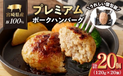 宮崎県産豚プレミアムハンバーグ(計20個) 肉 豚肉 加工品 惣菜 国産_T001-0121