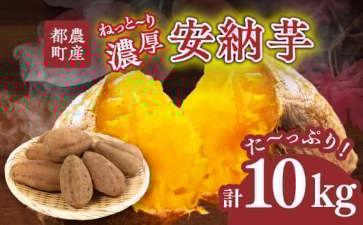≪期間限定≫都農町産安納芋(計10kg) 野菜 芋 イモ 国産_T016-0021
