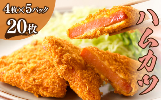 ハムカツ(計20枚) 豚 豚肉 加工品 国産_T006-0031