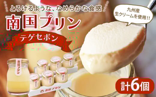 南国プリン「テゲセボン(計6個)」 スイーツ 洋菓子 国産_T038-0041