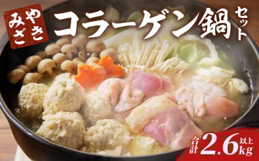 コラーゲン鍋セット(合計2.6kg以上) 肉 鶏 鶏肉 鍋 国産_T017-0051