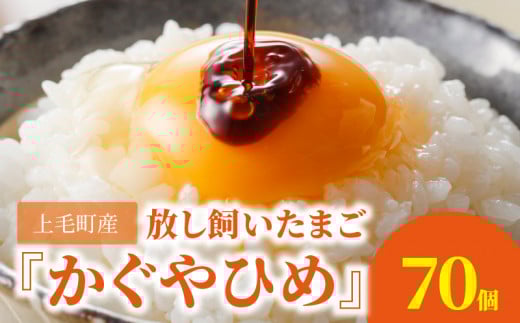 放し飼いたまご『かぐやひめ』70個【福岡上毛町産】 C00801