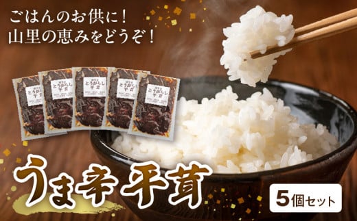 山里の恵み!うま辛平茸5個セット T05904