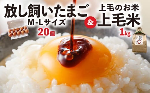 放し飼いたまご「かぐやひめ」20個&米1㎏【福岡上毛町産】 C01906