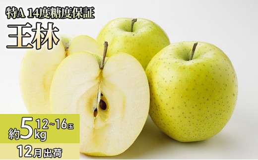 12月 特A王林約5kg（12～16個）14度糖度保証【青森りんご・ゆうきアップル・12月】 果物類 フルーツ 果物 代表品種