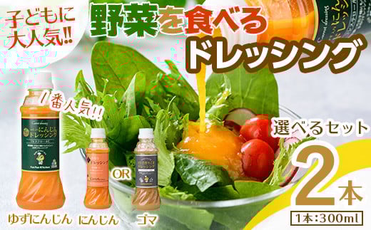 <お試し>自家製フレッシュドレッシング にんじん2種セット(ゆずにんじん・ごま/計2本)【m45-06-A】【Fun Fun Kitchen】