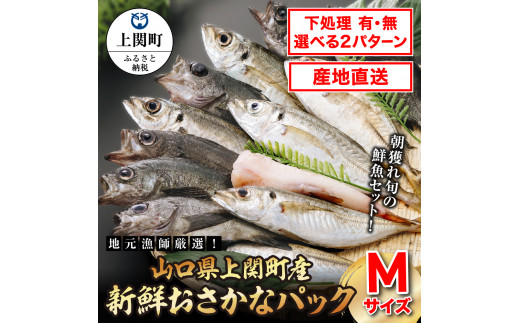 A-25 新鮮おさかなパック(Mサイズ/鮮魚)