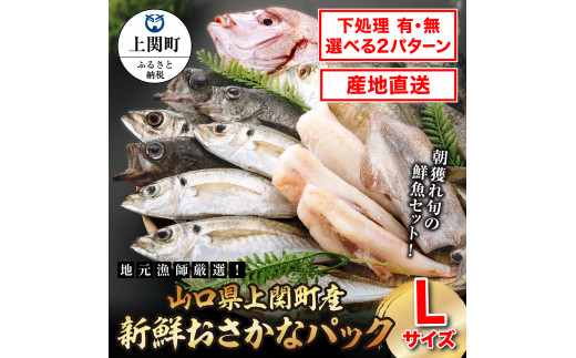 B-11　新鮮おさかなパック（Lサイズ／鮮魚）