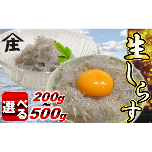 [容量選べる] 生しらす 200g 〜 500g 冷凍 刺身 真空パック ごはん 丼 サラダ 魚 料理 愛知県 南知多町 師崎 シラス しらす 小魚 魚貝 魚貝類 しらす シラス 海鮮 しらす丼 シラス丼 ふるさと納税しらすしらす おすすめ 大人気 南知多産しらす愛知県産しらす