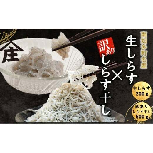 【選べるセット】 生しらす 200g 400g 訳ありしらす干し 500g 1kg セット 冷凍 刺身 真空パック しらす干し 炒飯 パスタ ごはん 丼 サラダ 魚 料理 愛知県 南知多町 師崎 シラス しらす 小魚 魚貝 魚貝類 しらす シラス 海鮮 しらす丼 シラス丼 ふるさと納税しらすしらす おすすめ 大人気 南知多産しらす愛知県産しらす