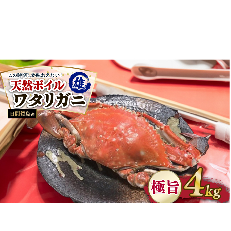 日間賀島産 ワタリガニ 4kg 雄 カニ わたりがに 渡り蟹 伊勢湾 日間賀島 新鮮 鮮度抜群 ふるさと納税カニ 美味しいカニ 美味いカニ 魚介類 魚 海鮮 夕食 ごはん 鮮度抜群 冷蔵 新鮮 惣菜 晩ごはん お米に合う