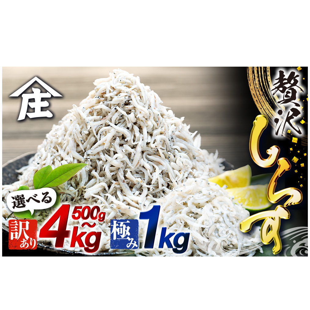 しらす 500g 〜 4kg 訳あり 冷凍 ちりめん かちり しらす干し 減塩 極み ごはん 丼 パスタ チャーハン サラダ 魚 料理 山庄 愛知県 南知多町 師崎