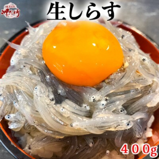 生しらす(お刺身) 400g(100g×4個) 岬だより