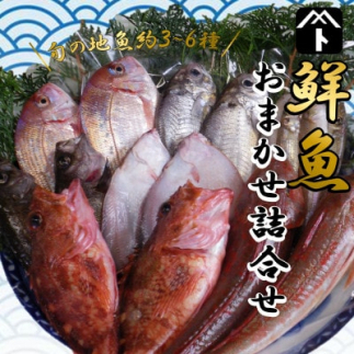 詰め合わせ 鮮魚 旬 3 ~ 6種 鯛 メバル カサゴ イカ カレイ ヒラメ 詰め合わせ セット 愛知県 南知多町 海鮮 海の幸 セット 魚介 新鮮 人気 おすすめ