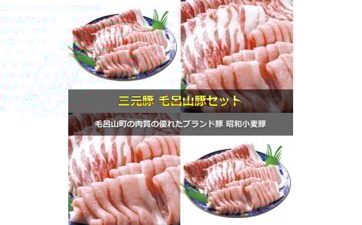 三元豚　毛呂山豚セット（豚ロース　豚バラ　スライス　計　２．２㎏）