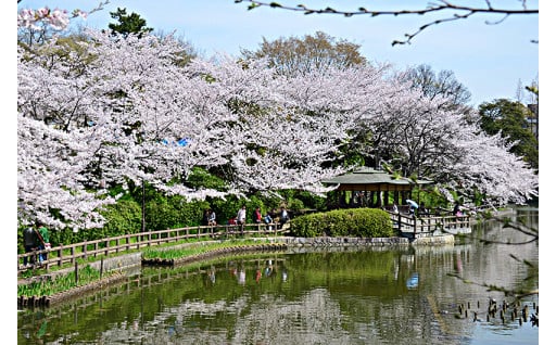 10　亀城公園等整備事業