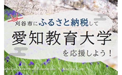 11　愛知教育大学支援事業