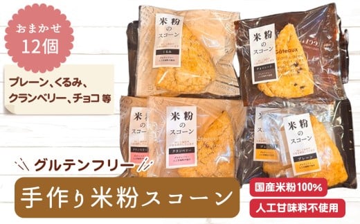 No.510 グルテンフリー　手作り米粉スコーン　おまかせ12個　詰め合わせ ／ パン 米粉 おやつ 朝食 ティータイム 国産米粉100％ 手作り セット 愛知県