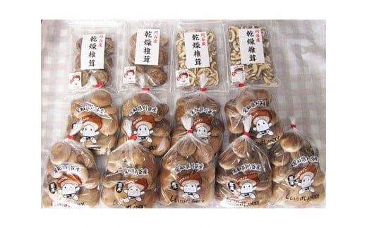 No.064 おがっしい【刈谷市小垣江産】生椎茸・乾燥椎茸セット 計約2820g / しいたけ シイタケ 乾物 肉厚 愛知県 特産品