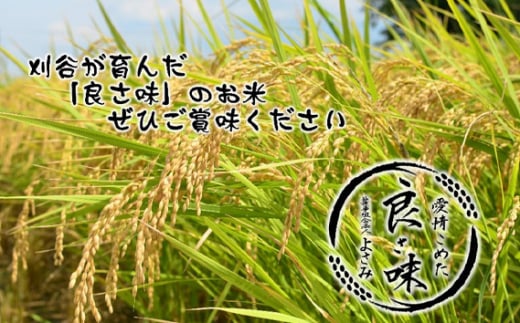 No.349 令和7年産　あいちのかおり（お米）計6kg ／ 大粒 おこめ 食べやすい 愛知県