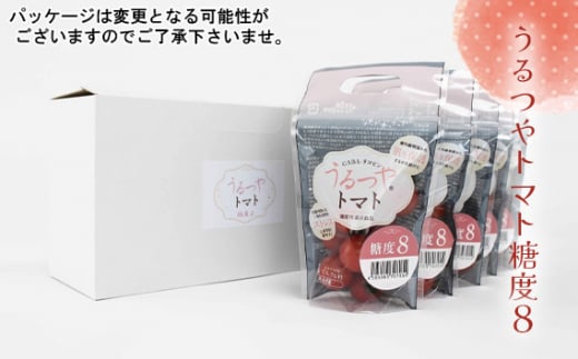 No.376 うるつやトマト糖度8 / とまと リコピン GABA 愛知県