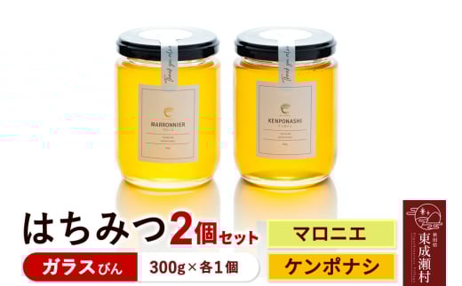はちみつ2個セット(MARRONNIER・KENPONASHI ガラスびん)300g×各1個 計2個
