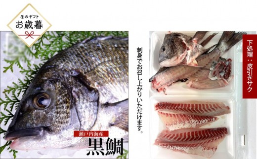 【お歳暮】【三枚おろし全て皮引きサク】黒鯛 1尾（約1ｋg）ちぬ チヌ 刺身
