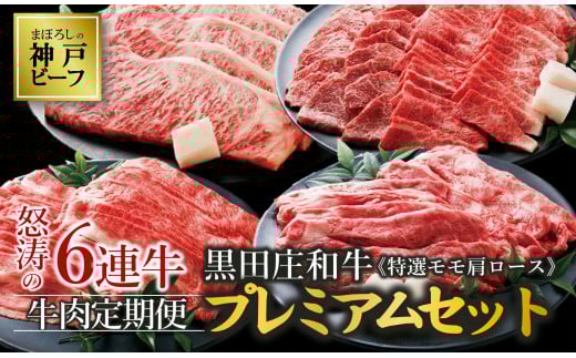 【冷蔵・年6回お届け定期便】 特選 黒田庄和牛特選モモ・肩ロースプレミアムセット(焼肉・すき焼き・しゃぶしゃぶ・ステーキから選べます!) (300-1 )神戸牛 神戸ビーフ 定期便 黒田庄和牛 黒毛和牛 高級黒毛和牛 但馬牛 黒田庄 ごちそう 満足 プレミアム 高級 焼き肉 焼肉 すき焼き しゃぶしゃぶ BBQ ステーキ 贅沢