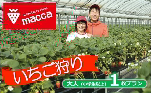 いちご畑maccaで使えるいちご狩りチケット (小学生以上1名)【利用期間:令和8年2月上旬~】10-110