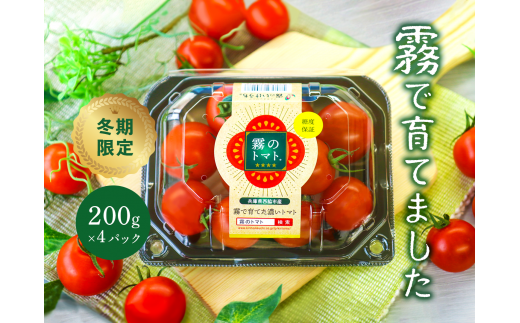 11月末~12月発送予約【霧で育てた濃厚な味】霧のトマト 200g×4パック(06-16)