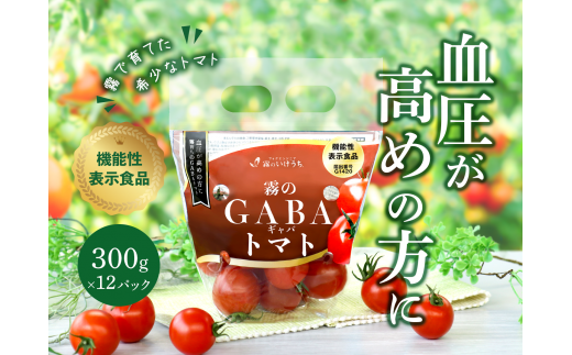 おいしいだけじゃない!機能性表示食品 霧のGABAトマト 300g×12パック(20-52)