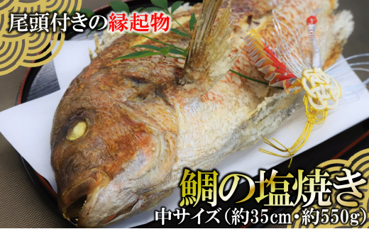 【尾頭付きの縁起物】 活塩焼き鯛（中サイズ） 1匹（約35㎝・約550g） （15-49）