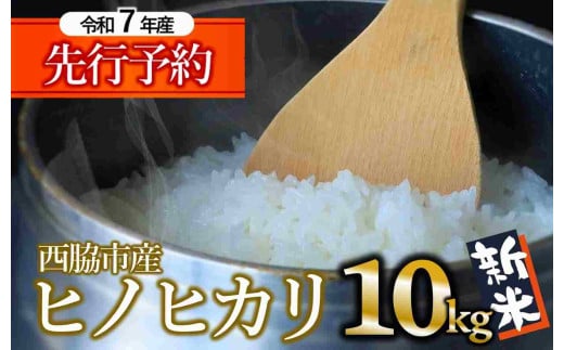【新米先行予約】令和7年産【ヒノヒカリ】10kg 白米  (29-18) 米 お米 10kg 米10kg 兵庫県産 ひのひかり ヒノヒカリ 西脇市産 令和7年産 R7年産 2025年産 精米