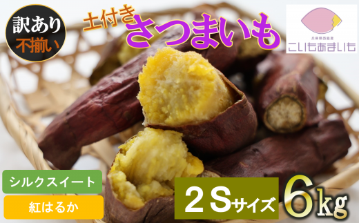 【訳あり】超熟成蜜芋 土付きふそろいさつまいも「こいもあまいも」2Sサイズ 合計6kg(05-60) シルクスイート