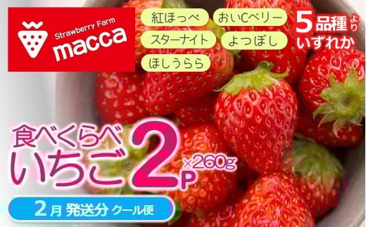 「ひょうご推奨ブランド」認証「西脇市産いちご食べくらべセット」(1箱2パック)令和8年2月上旬配送分~いちご畑macca~(06-39)