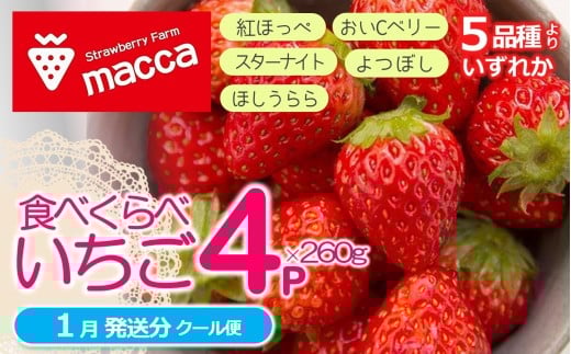 「ひょうご推奨ブランド」認証「西脇市産いちご4種セット」(1箱4パック)~いちご畑macca~(11-47) 令和8年1月上旬配送分