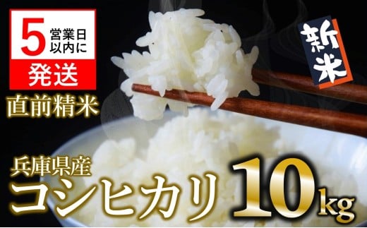 [スピード発送][新米]コシヒカリ 10kg 白米 令和7年産 (30-61) 米 お米 10kg 米10kg 兵庫県産 こしひかり コシヒカリ 西脇市産 令和7年産 R7年産 2025年産 精米