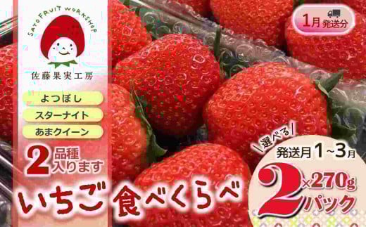 《2026年産先行予約》「西脇市産 旬のいちご2品種食べ比べセット」(1箱2パック)【佐藤果実工房 全国いちご選手権銀賞受賞農園 TVで紹介!】令和8年1月中旬配送分(07-44)