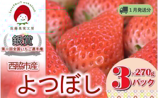《2026年産先行予約》「西脇市産 佐藤果実工房のよつぼし」(約270g×3パック 約810g)【佐藤果実工房 全国いちご選手権銀賞受賞農園 TVで紹介!】令和8年1月下旬配送分(09-39)