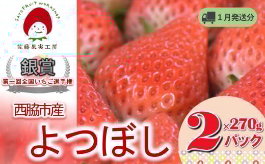 《2026年産先行予約》「西脇市産 佐藤果実工房のよつぼし」(約270g×2パック 約540g)【佐藤果実工房 全国いちご選手権銀賞受賞農園 TVで紹介!】令和8年1月中旬配送分(07-45)