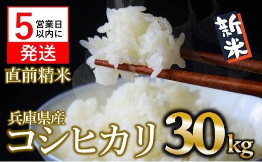 【スピード発送】【新米】コシヒカリ 30kg 白米 令和7年産 (90-9) 米 お米 30kg 米30kg 兵庫県産 こしひかり コシヒカリ 西脇市産 令和7年産 R7年産 2025年産 精米