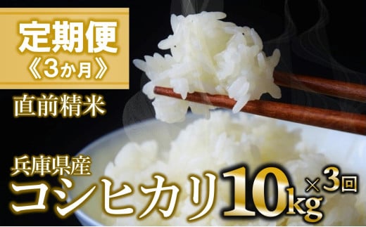 【定期便 3か月 コシヒカリ】白米10kg(3か月連続お届け)新米 2025年産 (90-12) 米 お米 米10㎏ お米10㎏ 兵庫県産 こしひかり コシヒカリ 西脇市産 定期 連続 3回 3か月 2025年産 精米 便利 らくちん ラク