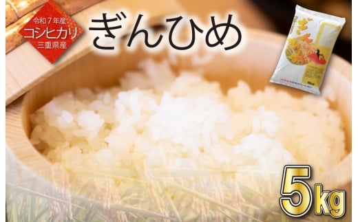 三重県産 コシヒカリ ぎんひめ 精米 5kg ふるさと納税 ふるさと 米 コメ こめ おこめ ギフト プレゼント 贈答 贈り物 御祝い お祝い返礼品 人気 お取り寄せ 三重米 お米 新米 白米 ブランド米 ふるさと納税