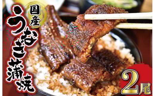 うなぎのかば焼き 2尾入り (タレ4本入り) うな丼 丼 蒲焼 精力 国産 三重 お祝い 特別な日 有名店 行列 職人技 タレ