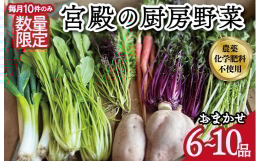 レビューキャンペーン対象★宮殿の厨房野菜 六月農園 おまかせセット 野菜 セット 産地直送 おまかせ 季節の野菜 旬 詰め合わせ 人気 限定 有機栽培 オーガニック 明和町 国産 リピート N5