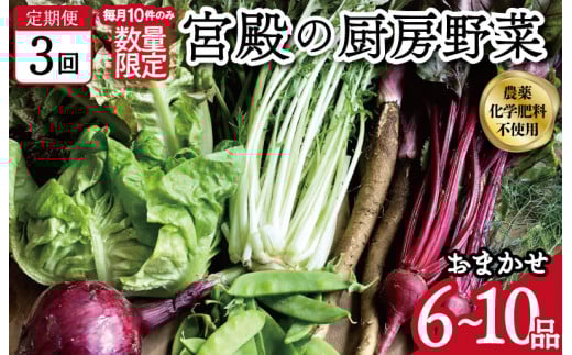 宮殿の厨房野菜 おまかせ定期便 （3回） 六月農園 野菜 セット 産地直送 おまかせ 季節の野菜 旬 詰め合わせ 人気 限定 有機栽培 オーガニック 明和町 国産 リピート 定期便