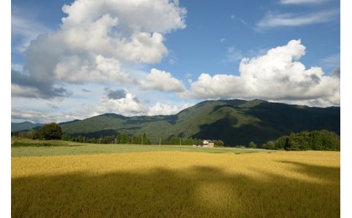まちが誇る自然環境を後世に残すために